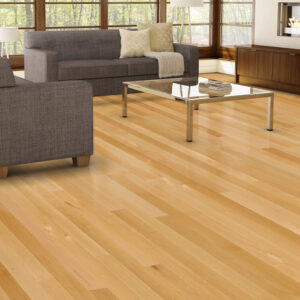 Yellow birch — Select