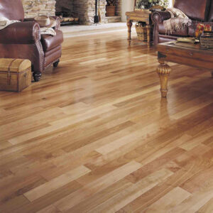 Yellow birch — Millrun