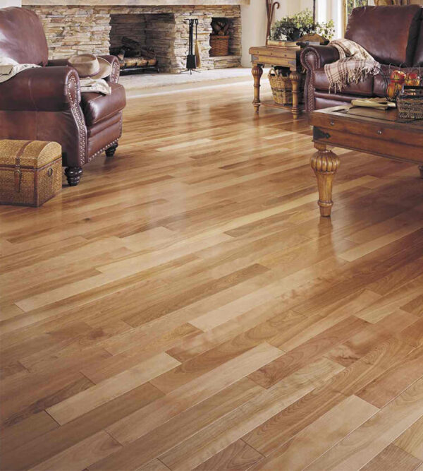Yellow birch — Millrun