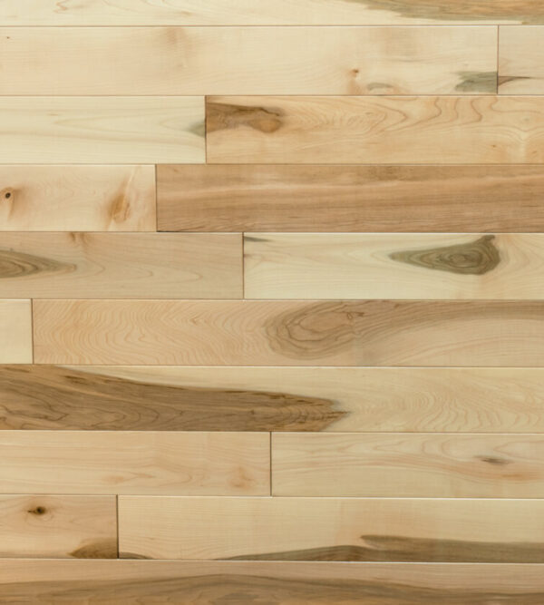 Silver maple — Pacific