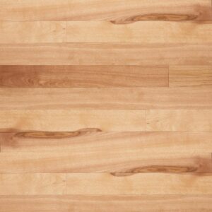 Yellow birch — Pacific